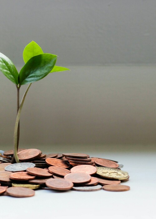 why finance professionals should embrace sustainability